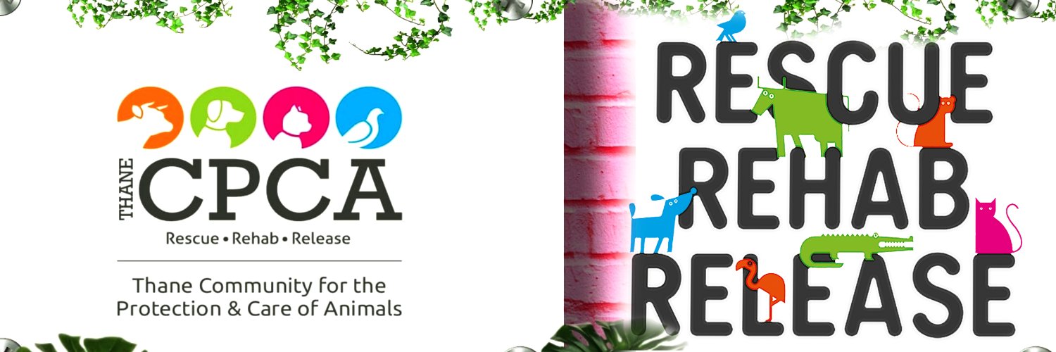 THANECPCA's profile banner image