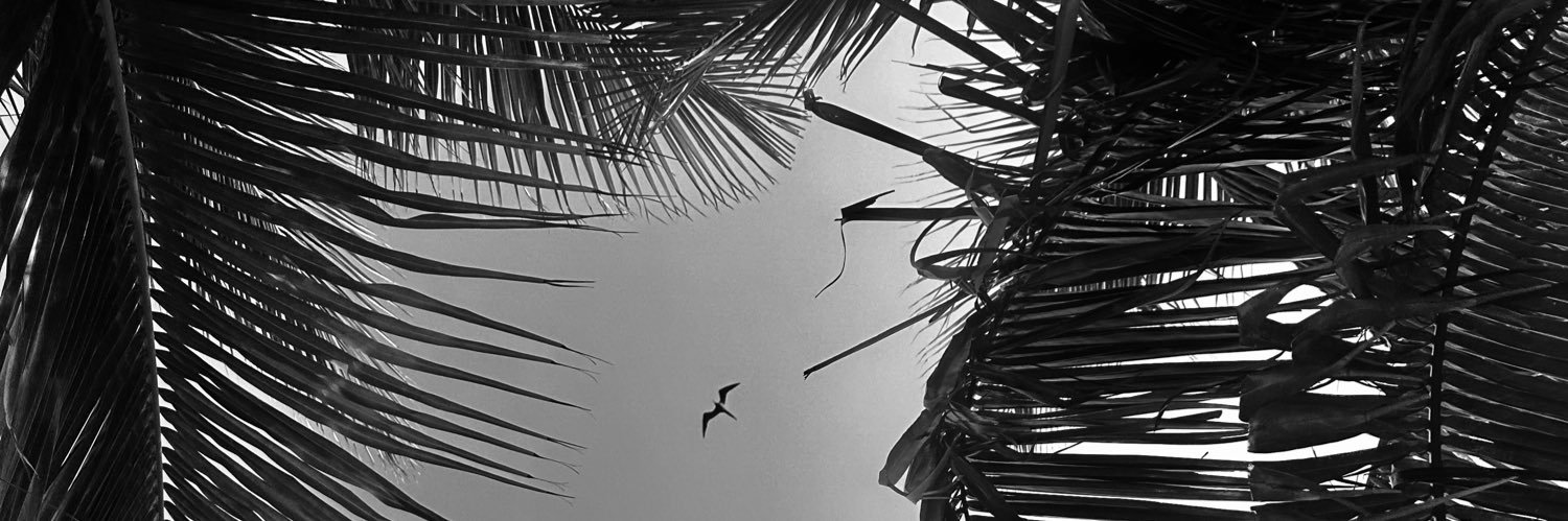 camilarrd's profile banner image