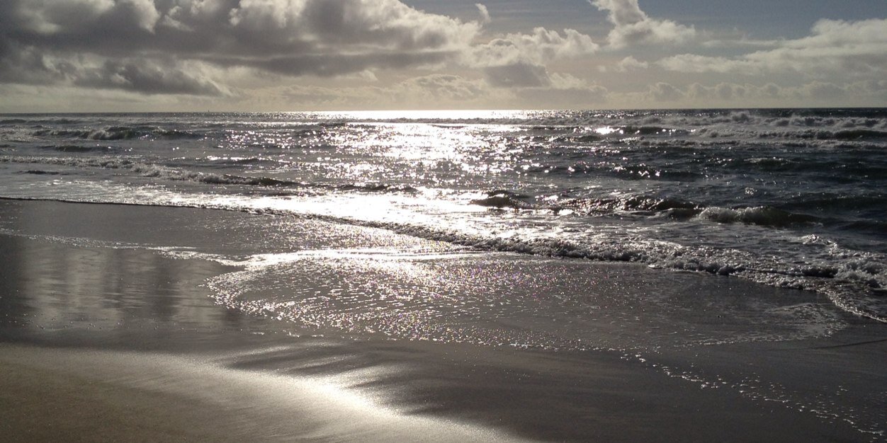 Winston’s Trowel banner