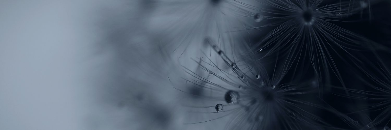 oooi's banner