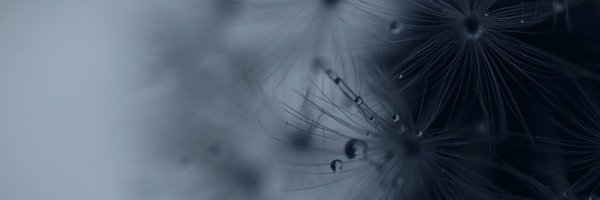 oooi2004 Profile Banner