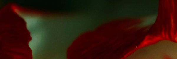 oooi2004 Profile Banner