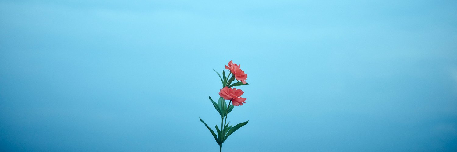 田中有紀 Lantisスタッフ公式 banner