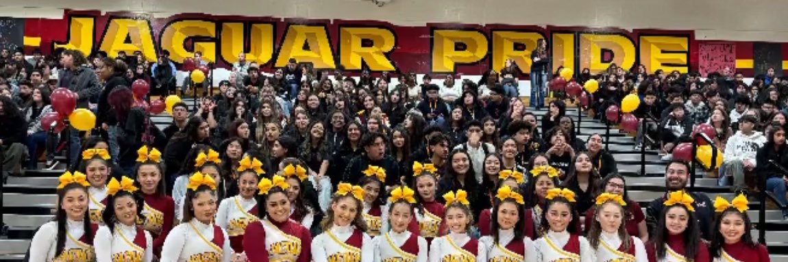 Principal Rook banner