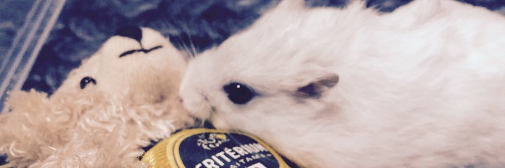 hynr's profile banner image