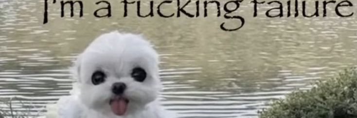 Seth banner
