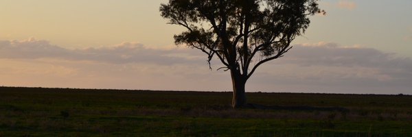 AgsolutelyFab Profile Banner