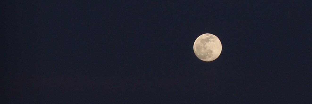 mmminho_'s profile banner image
