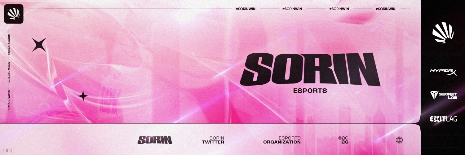 SORIN Fortnite banner