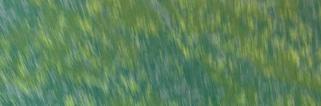 😸💟 banner