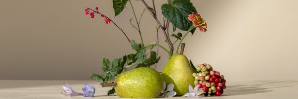 scentsy Profile Banner