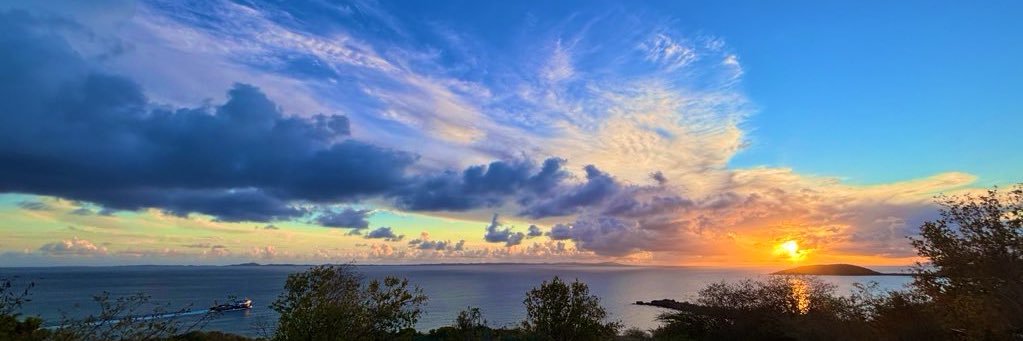 Sandra Mendez Hernandez banner