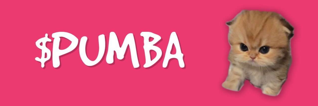 Pumba_CTO's profile banner image