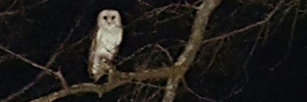00wly_wo Profile Banner