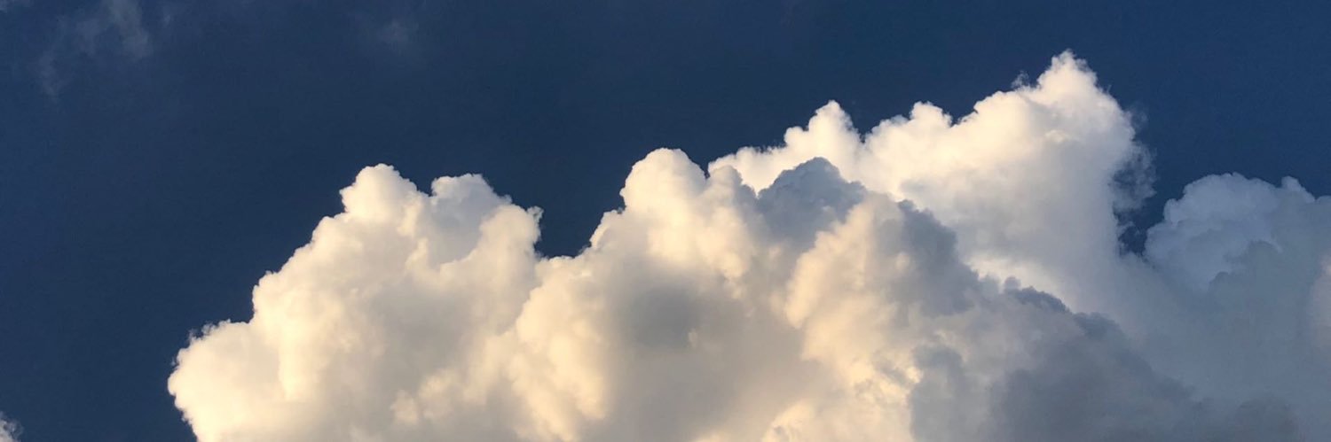 Brie Artsy (Open for Art Commissions)'s banner