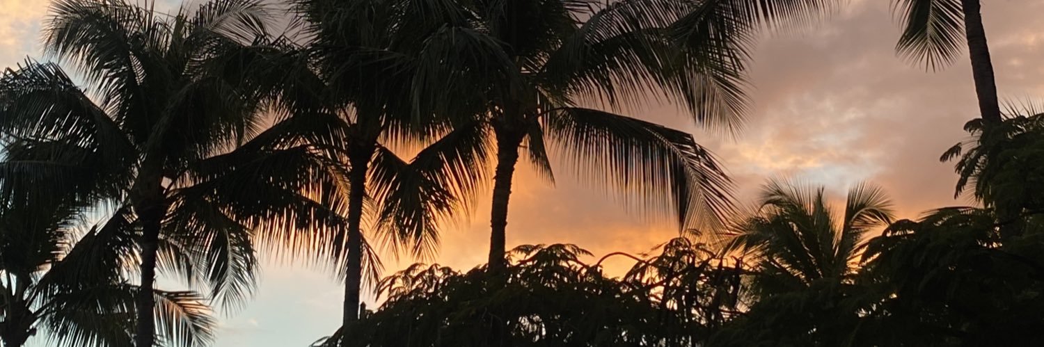 jazringgold's profile banner image
