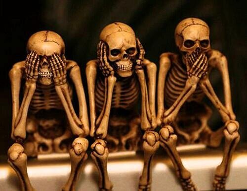 Mario Rodriguez. banner