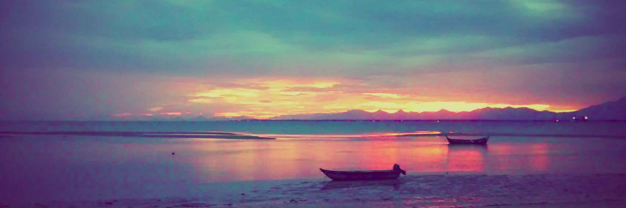 edirdu's profile banner image