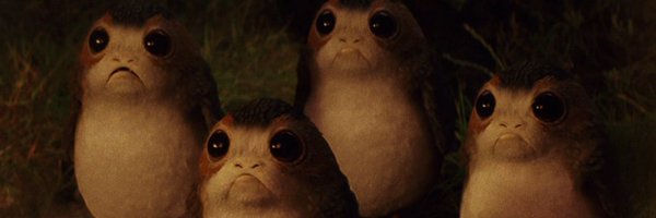 obakehimawariSW Profile Banner