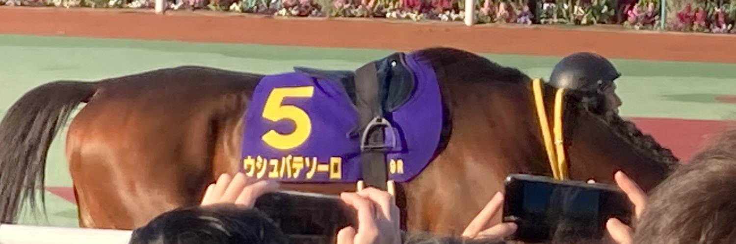 geroppa774's profile banner image