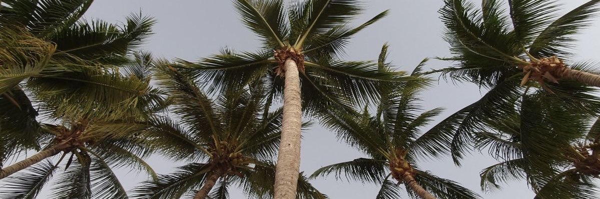 ُ banner