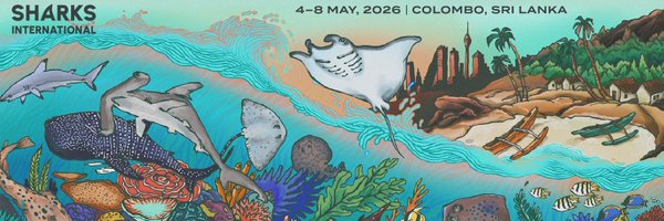 SharksInt2026 Profile Banner