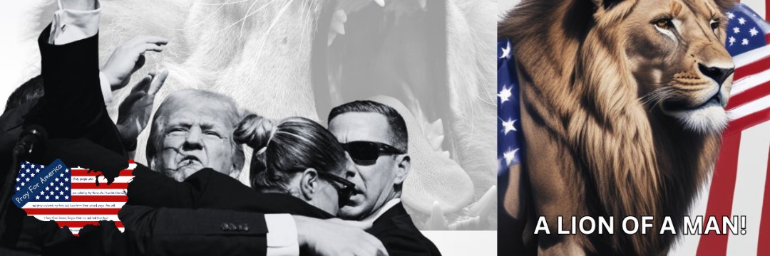 turnbackamerica's profile banner image