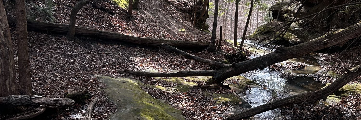 Bambi🌿🪷 banner