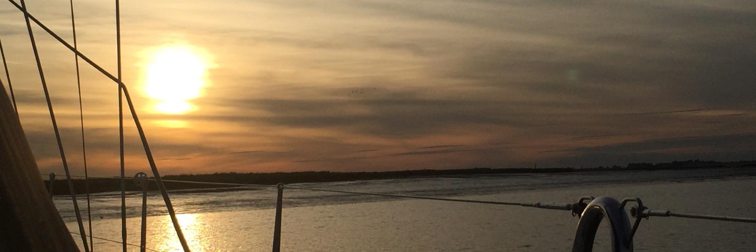TaraZenaHoward's profile banner image