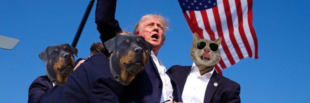 Selfie Cat wif Dog banner