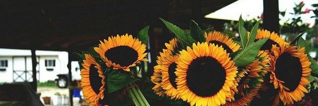 Nati_Chatellino's profile banner image