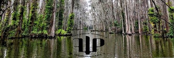 foolproofwhsky Profile Banner