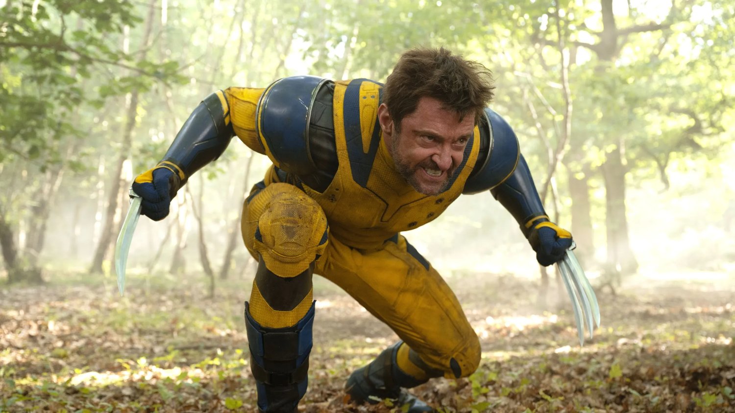 Wolverine 🇨🇦's banner