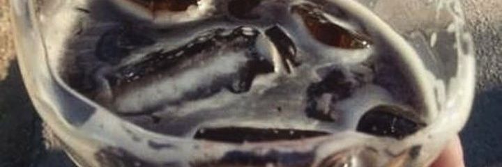 cotiigg's profile banner image