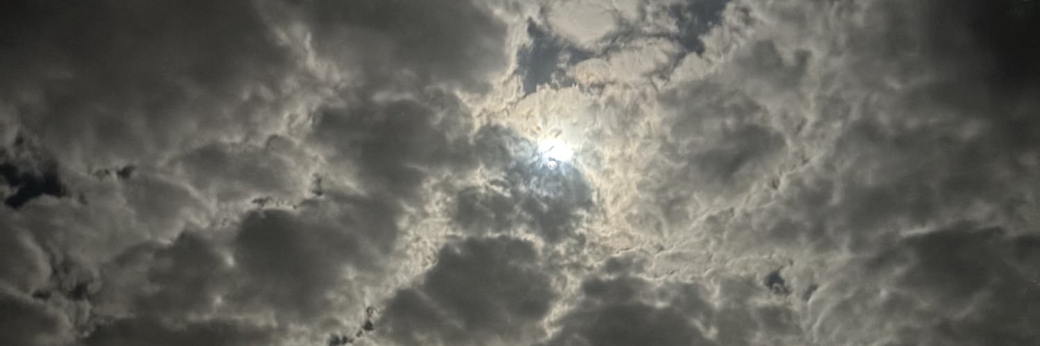 rjwolfie's profile banner image
