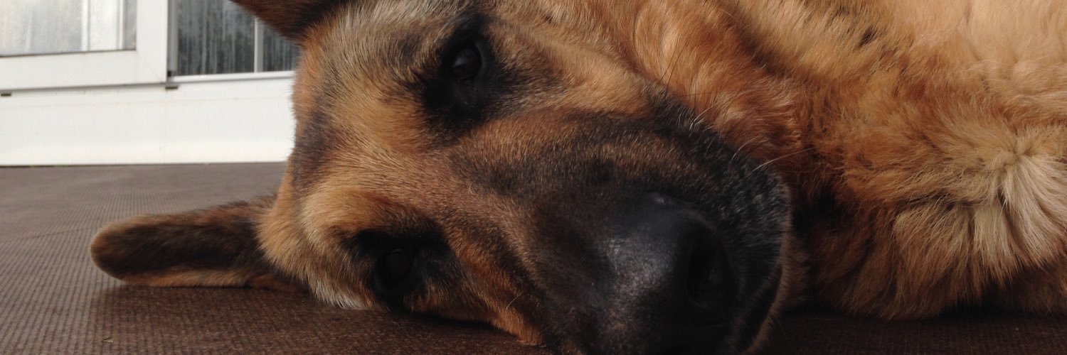 Vare8's profile banner image
