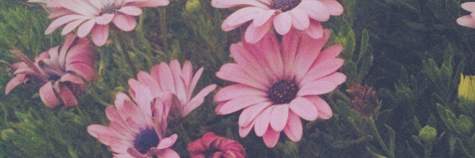 aritzugrissel's profile banner image