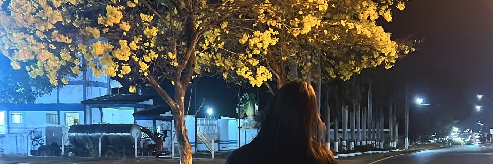 vanessamairaa's profile banner image