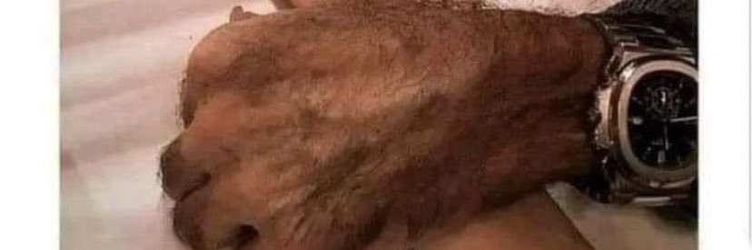 Banabroko🇸🇷 banner