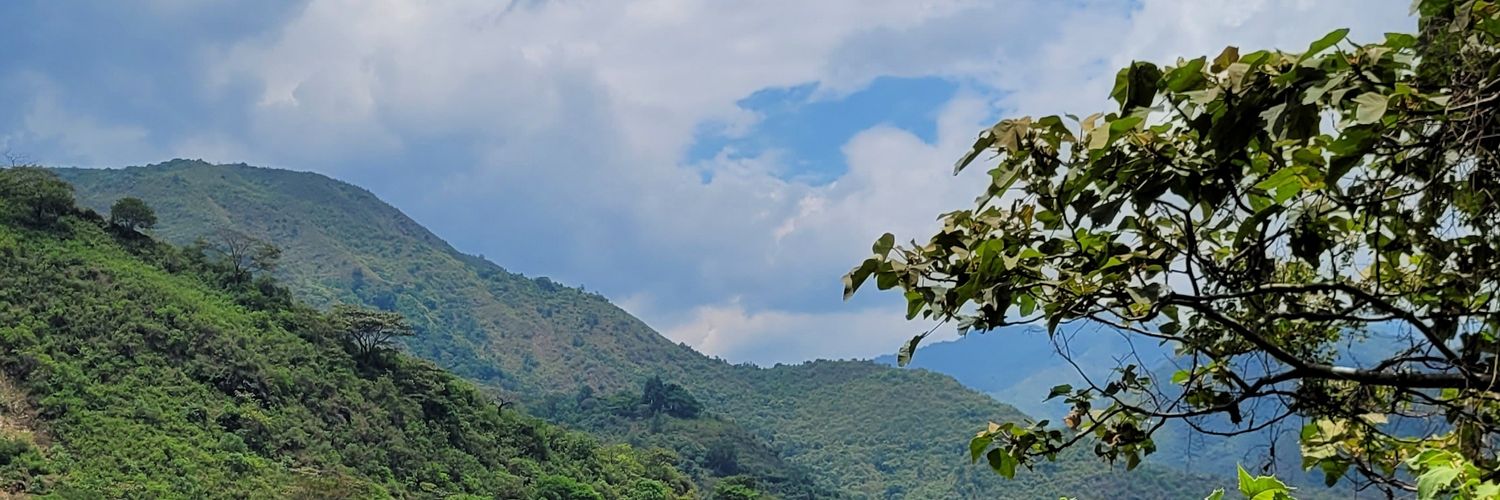 CaamiAniboli's profile banner image
