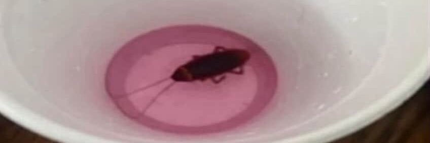 @plastic.disc (vinyl & music) 💽 banner