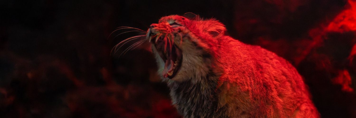 0ddCannon's profile banner image