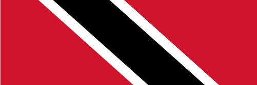 TraceySolo's profile banner image
