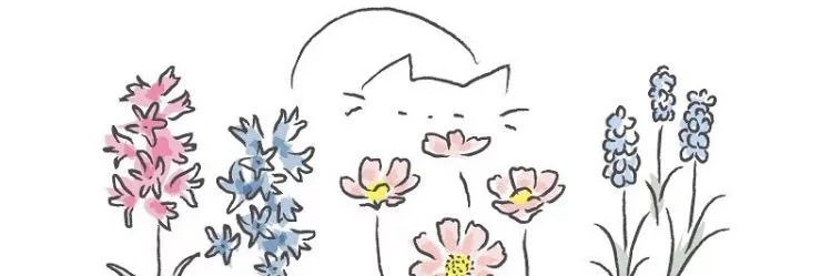 augusttyty's profile banner image