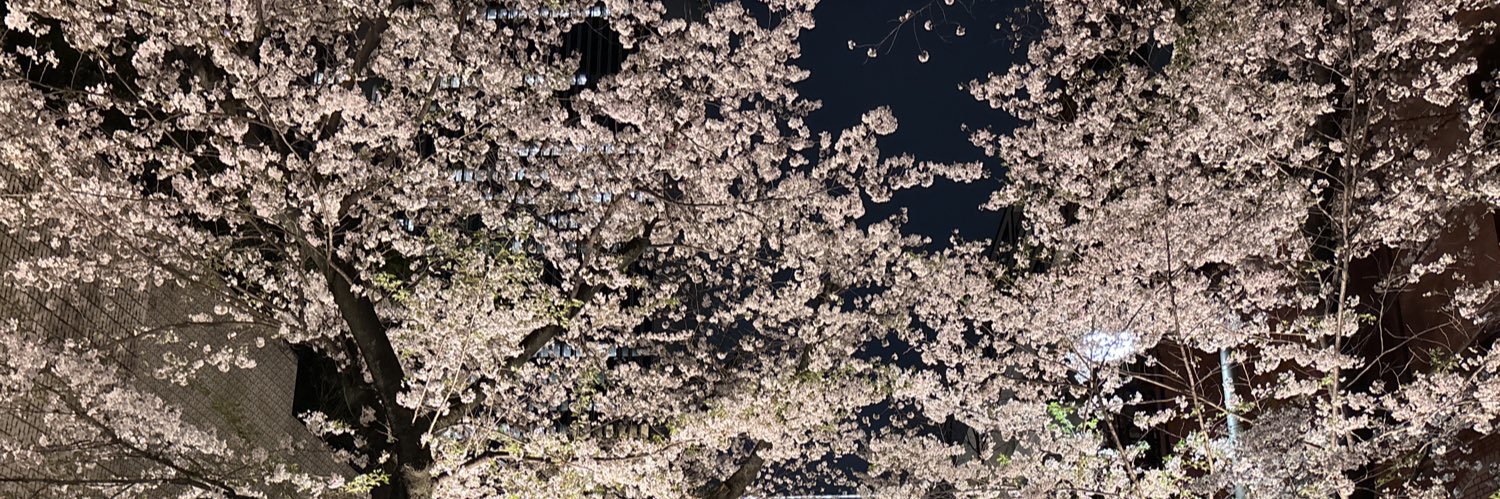 rinaissance banner