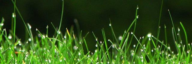 akiles_dop's profile banner image