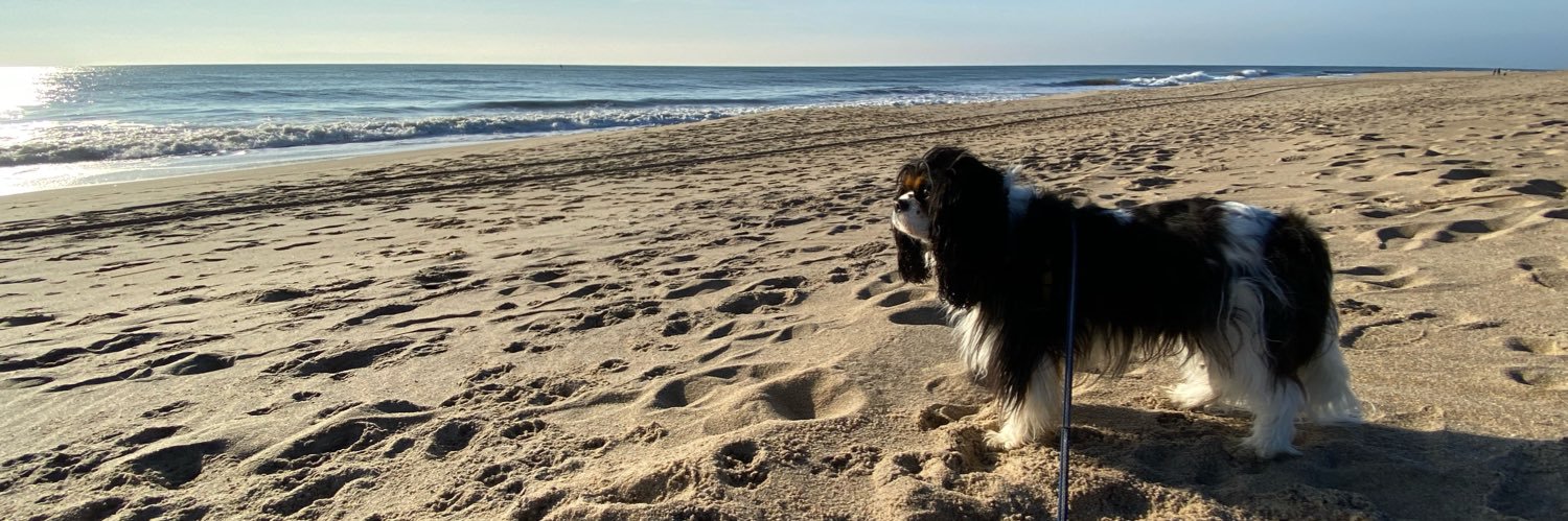 Jake Suslowitz banner