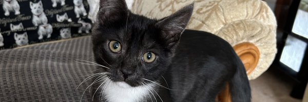 Jimbo4indy2 Profile Banner