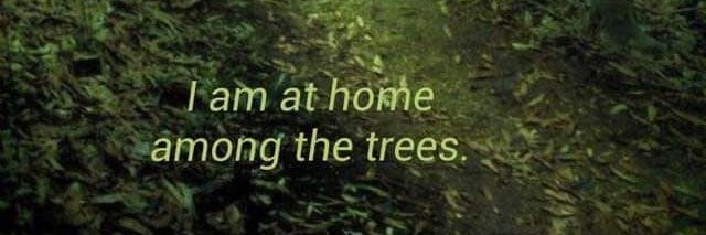 apt4X (Modi Parivar) banner