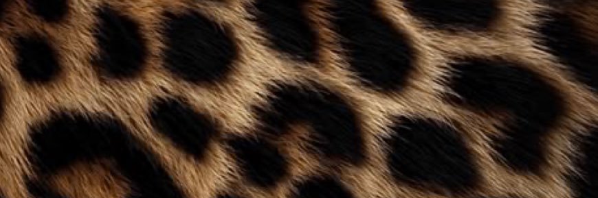 o2xrx0's profile banner image